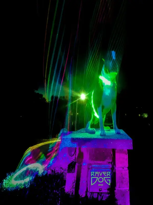 Raver Dogs Letterbox